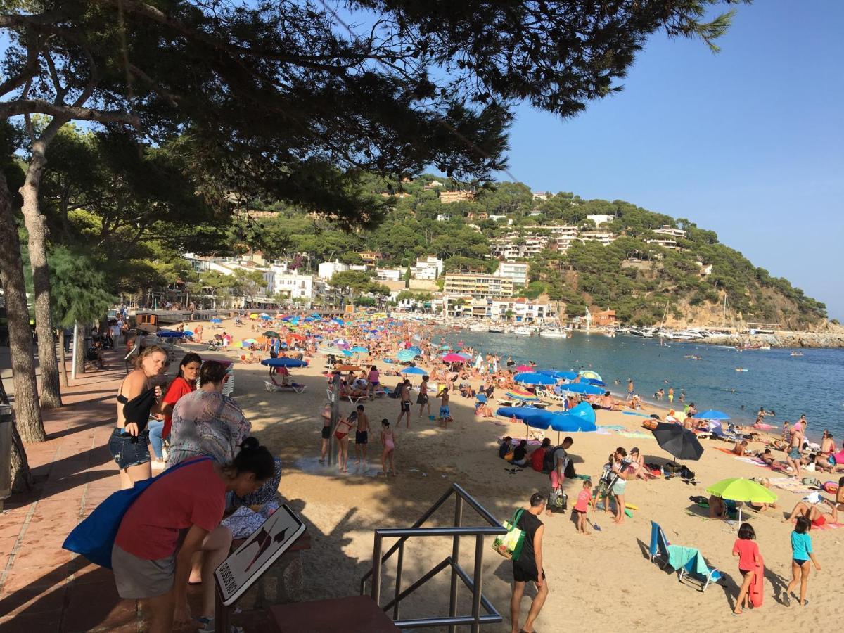 Greenchalets Costa Brava 帕拉莫斯 外观 照片